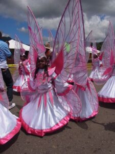 torinidadtobago2013-steelpan-157