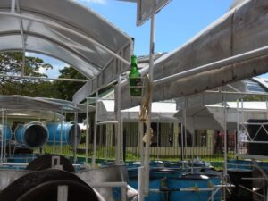 torinidadtobago2013-steelpan-160