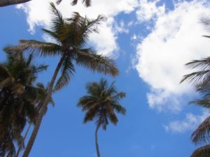 マラカスビーチ