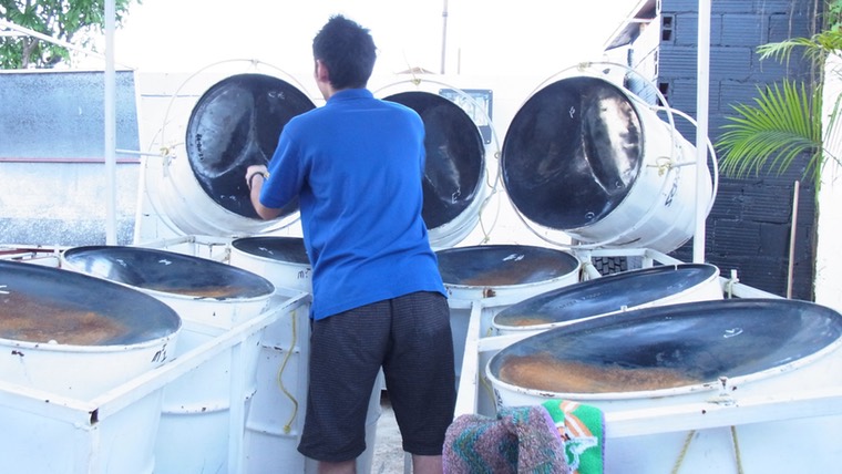 シルバースターズの9ベース