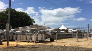 デスペラードスのヤードにて